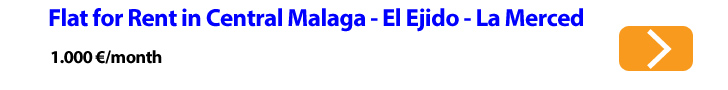 Venta de piso para inversion Malaga